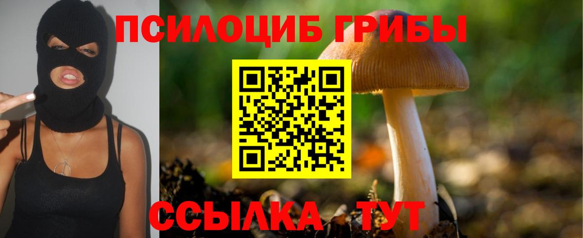 Хабаровск  Псилоцибиновые грибы Psilocybe  Вход с VPN 